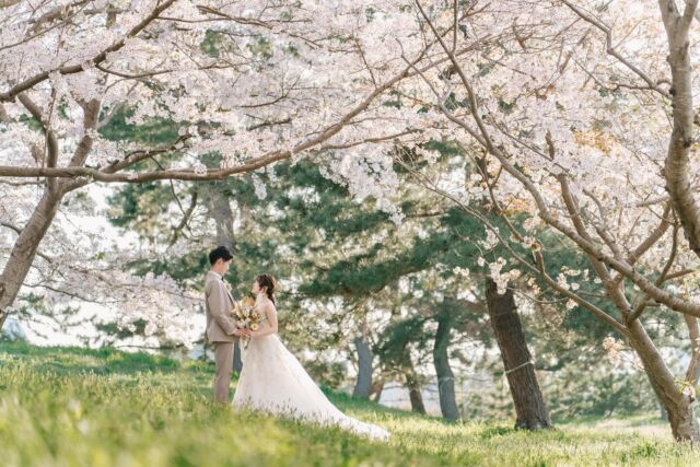 桜での撮影まだ間に合います🌸
春に前撮りをお考えの方はまずご相談ください☺️
前撮り以外にもカップル、ファミリーでの撮影も可能ですのでご連絡お待ちしております✨

@475photo 
@maka_camera11 
#ウエディングフォト
#ateliercue

ご依頼、質問お気軽にDMにてお待ちしてます！

_._._._._._._._._._._._._._._._._._._._._._._
 #前撮りカメラマン#前撮り依頼#プラコレ#結婚式カメラマン#結婚式#鳥取前撮り#島根前撮り#ファミリーフォト#家族写真#成人式カメラマン#カメラマン米子#米子写真#鳥取カメラマン#米子出張カメラマン#米子ロケーション撮影#鳥取ロケーションカメラマン#米子カメラマン#米子ウエディングフォト#ウエディングフォトグラファー#weddingphotographer#ウエディングアカウント#米子ウエディングカメラマン#米子前撮り#米子前撮りカメラマン